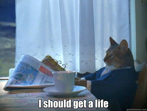  I should get a life  The One Percent Cat
