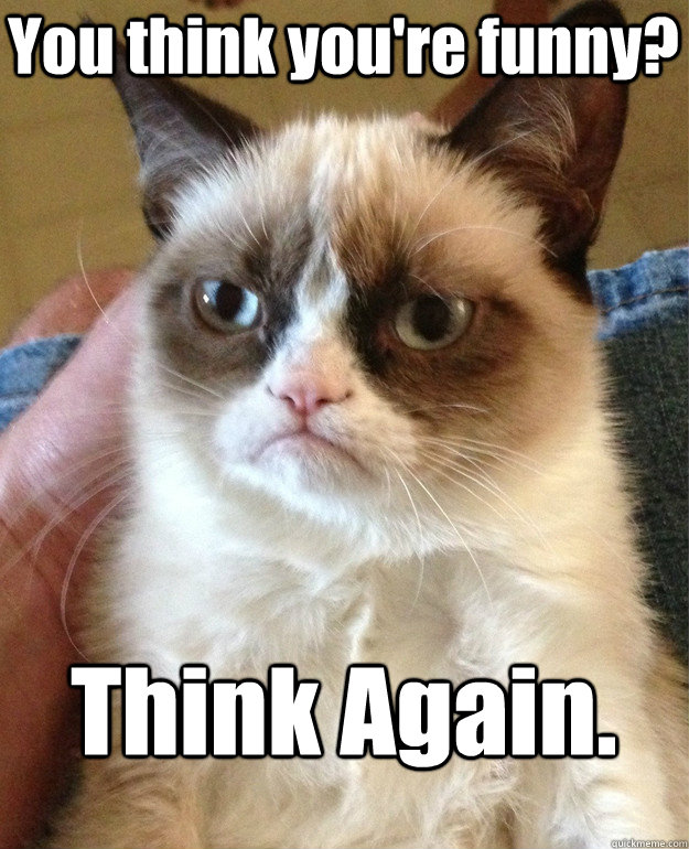 You think you're funny? Think Again. - You think you're funny? Think Again.  Grumpy Cat