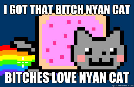 i got that bitch nyan cat bitches love nyan cat  Nyan cat