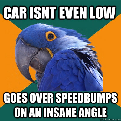 Car Isnt Even low  goes over speedbumps on an insane angle  Paranoid Parrot