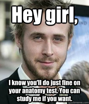 Hey girl, I know you'll do just fine on your anatomy test. You can study me if you want. - Hey girl, I know you'll do just fine on your anatomy test. You can study me if you want.  Misc