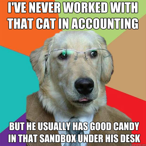 I've never worked with that cat in accounting
 but he usually has good candy in that sandbox under his desk - I've never worked with that cat in accounting
 but he usually has good candy in that sandbox under his desk  Business Dog