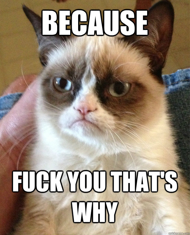 Because Fuck you that's why - Because Fuck you that's why  Grumpy Cat