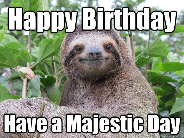 Happy Birthday Have a Majestic Day  Stoned Sloth