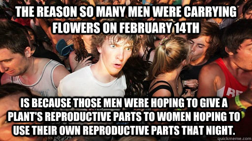 The reason so many men were carrying flowers on February 14th is because those men were hoping to give a plant's reproductive parts to women hoping to use their own reproductive parts that night.  Sudden Clarity Clarence