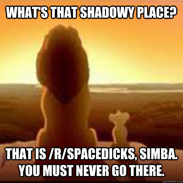 What's that shadowy place? that is /r/spacedicks, simba. You must never go there.  