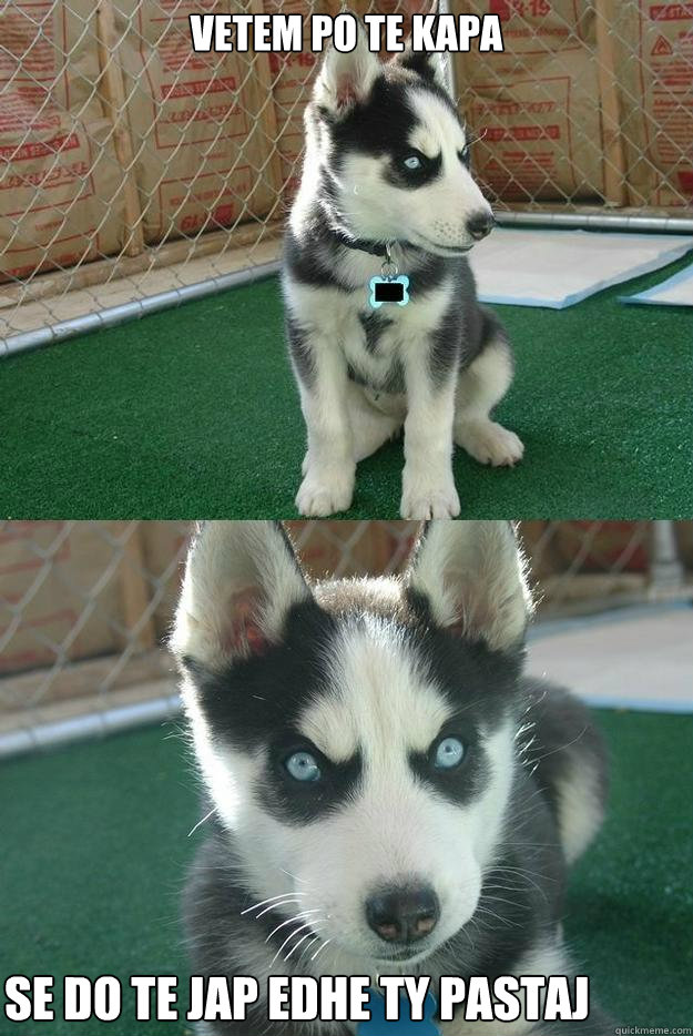 Vetem po te kapa Se do te jap edhe ty pastaj  Insanity puppy