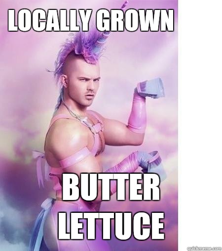 Locally grown BUTTER LETTUCE  