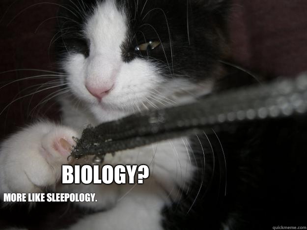 Biology? More like sleepology.    Sleepy cat