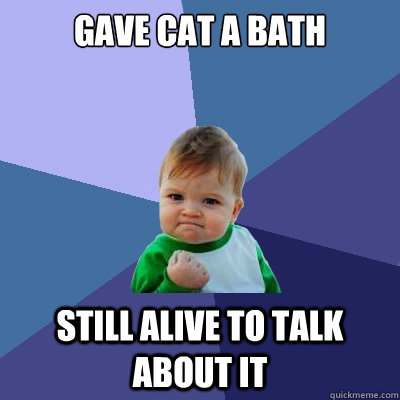 Gave cat a bath still alive to talk about it  Success Kid