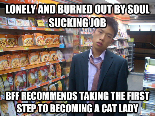 lonely and burned out by soul sucking job bff recommends taking the first step to becoming a cat lady  Disenchanted Young Professional