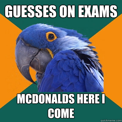 guesses on exams mcdonalds here i come  Paranoid Parrot