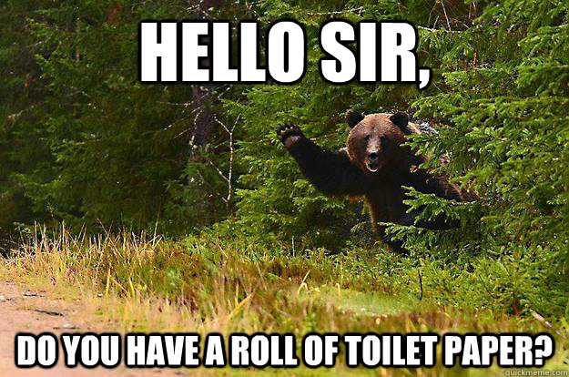 Hello sir,  do you have a roll of toilet paper? - Hello sir,  do you have a roll of toilet paper?  Misc