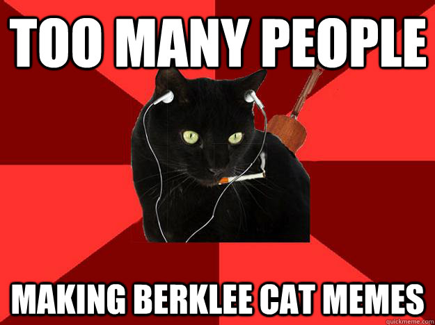 Too many people Making berklee cat memes - Too many people Making berklee cat memes  Berklee Cat