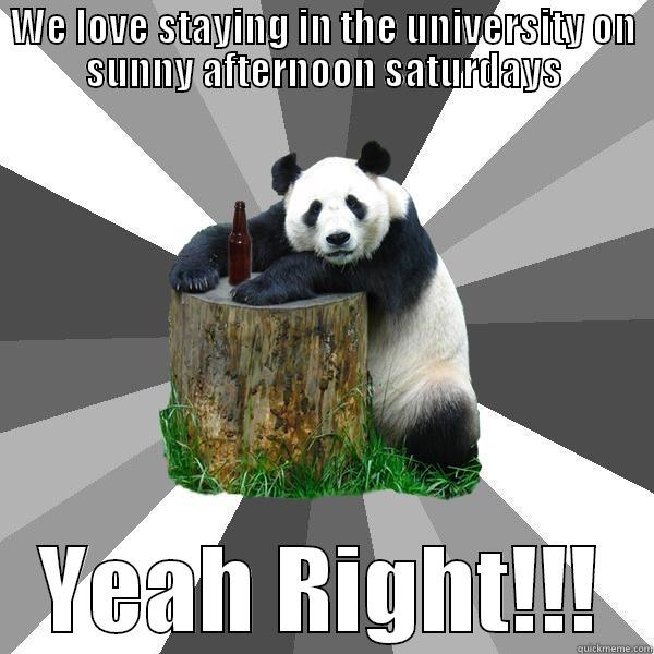 WE LOVE STAYING IN THE UNIVERSITY ON SUNNY AFTERNOON SATURDAYS YEAH RIGHT!!! Pickup-Line Panda