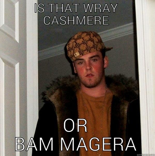 IS THAT WRAY CASHMERE OR BAM MAGERA Scumbag Steve