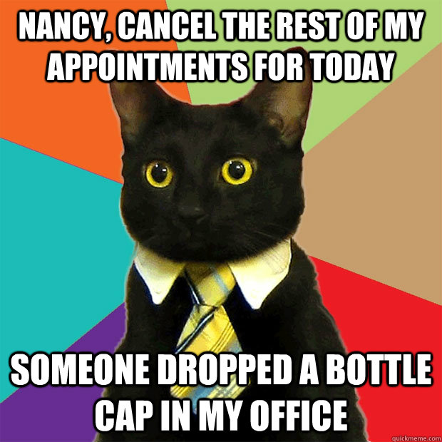 Nancy, cancel the rest of my appointments for today someone dropped a bottle cap in my office - Nancy, cancel the rest of my appointments for today someone dropped a bottle cap in my office  Business Cat