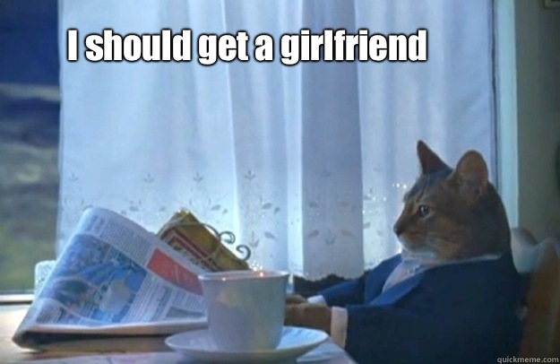I should get a girlfriend   Sophisticated Cat