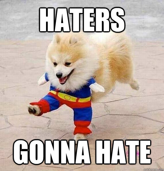 Haters Gonna Hate  pomeranian