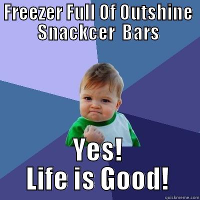FREEZER FULL OF OUTSHINE SNACKCER  BARS YES! LIFE IS GOOD! Success Kid