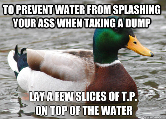 to prevent water from splashing your ass when taking a dump lay a few slices of T.P.
 on top of the water  Actual Advice Mallard