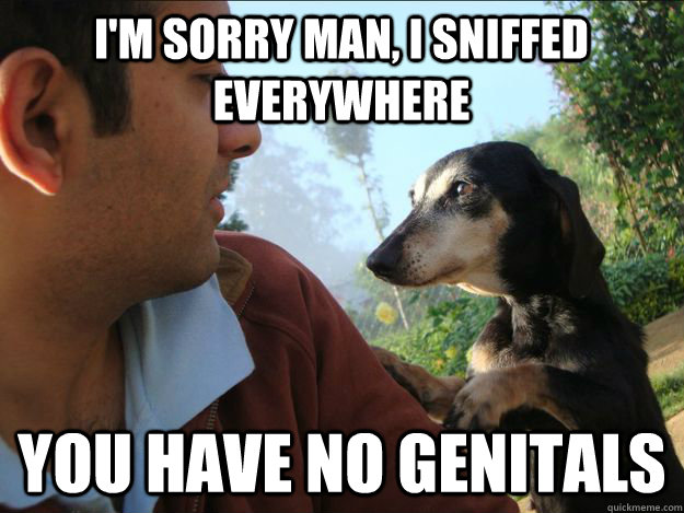 I'm sorry man, i sniffed everywhere you have no genitals  