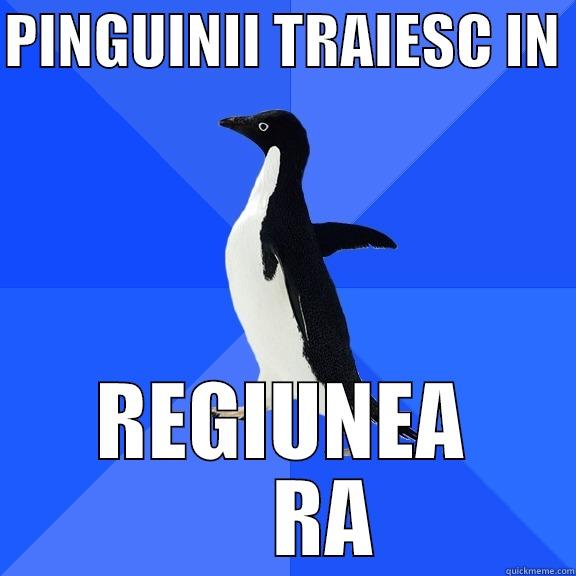 PINGUINII TRAIESC IN  REGIUNEA      RA Socially Awkward Penguin