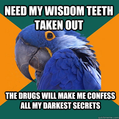 need my wisdom teeth taken out the drugs will make me confess all my darkest secrets  Paranoid Parrot