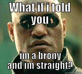 WHAT IF I TOLD YOU IM A BRONY AND IM STRAIGHT? Matrix Morpheus
