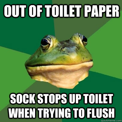 Out of toilet paper Sock stops up toilet when trying to flush  Foul Bachelor Frog