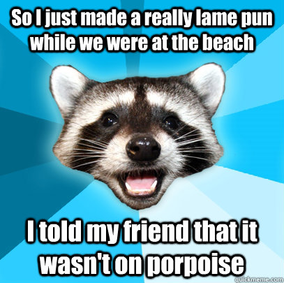 So I just made a really lame pun while we were at the beach I told my friend that it wasn't on porpoise  Lame Pun Coon