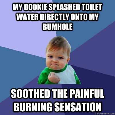 My dookie splashed toilet water directly onto my bumhole Soothed the painful burning sensation   Success Kid