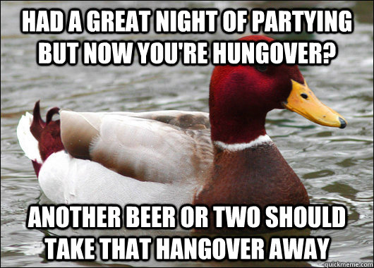 Had a great night of partying but now you're hungover? Another beer or two should take that hangover away  Malicious Advice Mallard