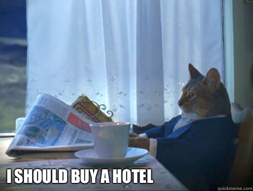  I should buy a hotel  The One Percent Cat