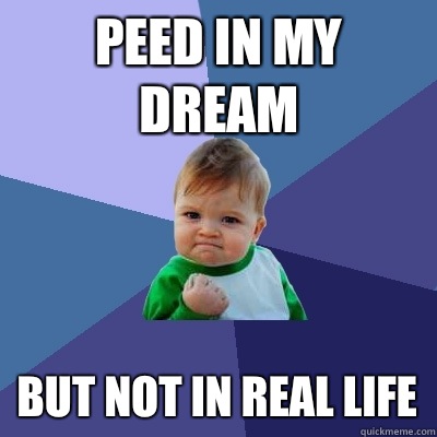 Peed in my dream But not in real life  Success Kid