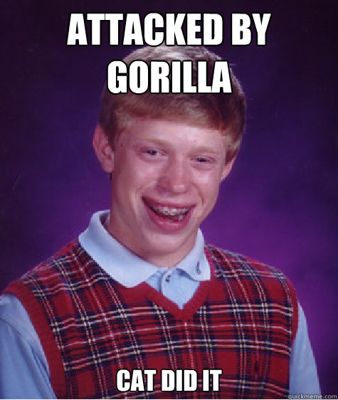 attacked by gorilla  

cat did it   Bad Luck Brian