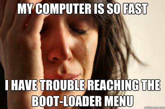 My computer is so fast i have trouble reaching the boot-loader menu  First World Problems