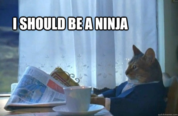 I should be a ninja - I should be a ninja  Sophisticated