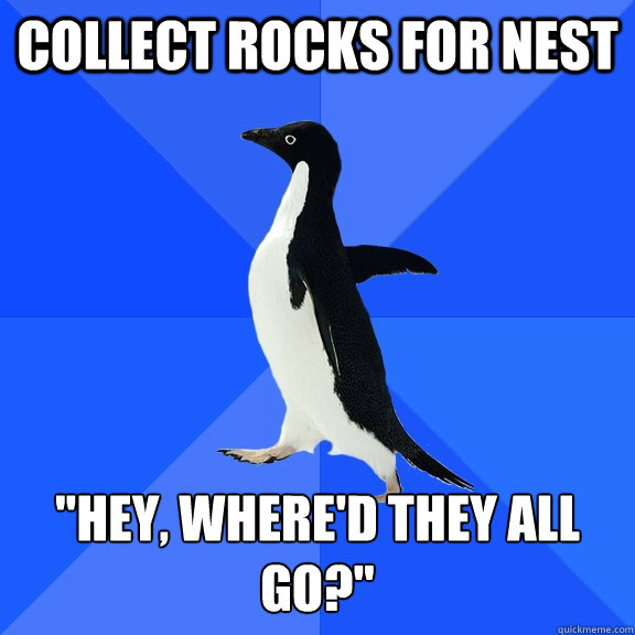 Collect rocks for nest 
