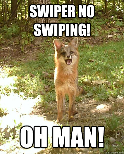Swiper no swiping! oh man! - Swiper no swiping! oh man!  Genuinely Surprised Fox