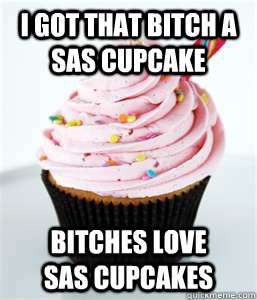 I got that bitch a SAS cupcake Bitches love           SAS cupcakes  cupcake