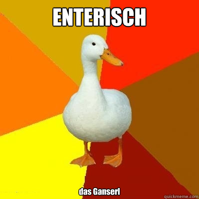 ENTERISCH das Ganserl  Tech Impaired Duck