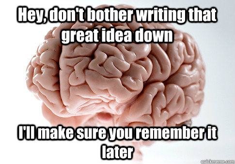 Hey, don't bother writing that great idea down I'll make sure you remember it later - Hey, don't bother writing that great idea down I'll make sure you remember it later  Scumbag Brain