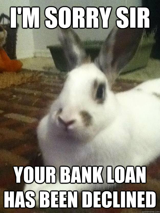 I'm sorry sir your bank loan has been declined  - I'm sorry sir your bank loan has been declined   Disapproving Bun