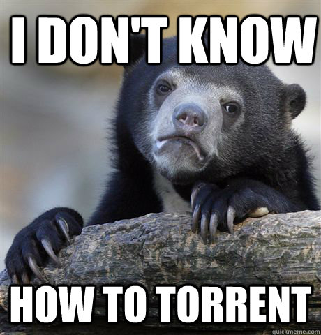 I don't know how to torrent  Confession Bear