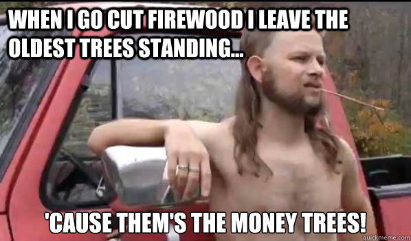 When I go cut firewood I leave the oldest trees standing... 'Cause them's the money trees!  Almost Politically Correct Redneck