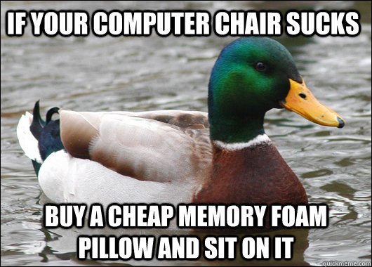 If your computer chair sucks Buy a cheap memory foam pillow and sit on it  Actual Advice Mallard