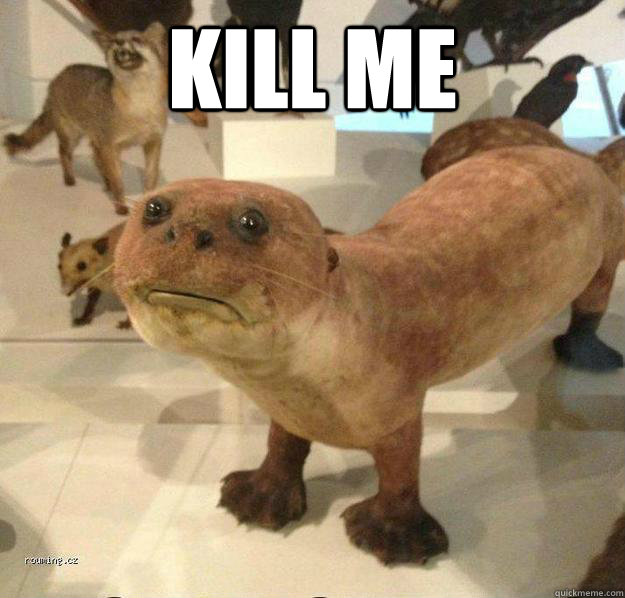 kill me   betrayed otter