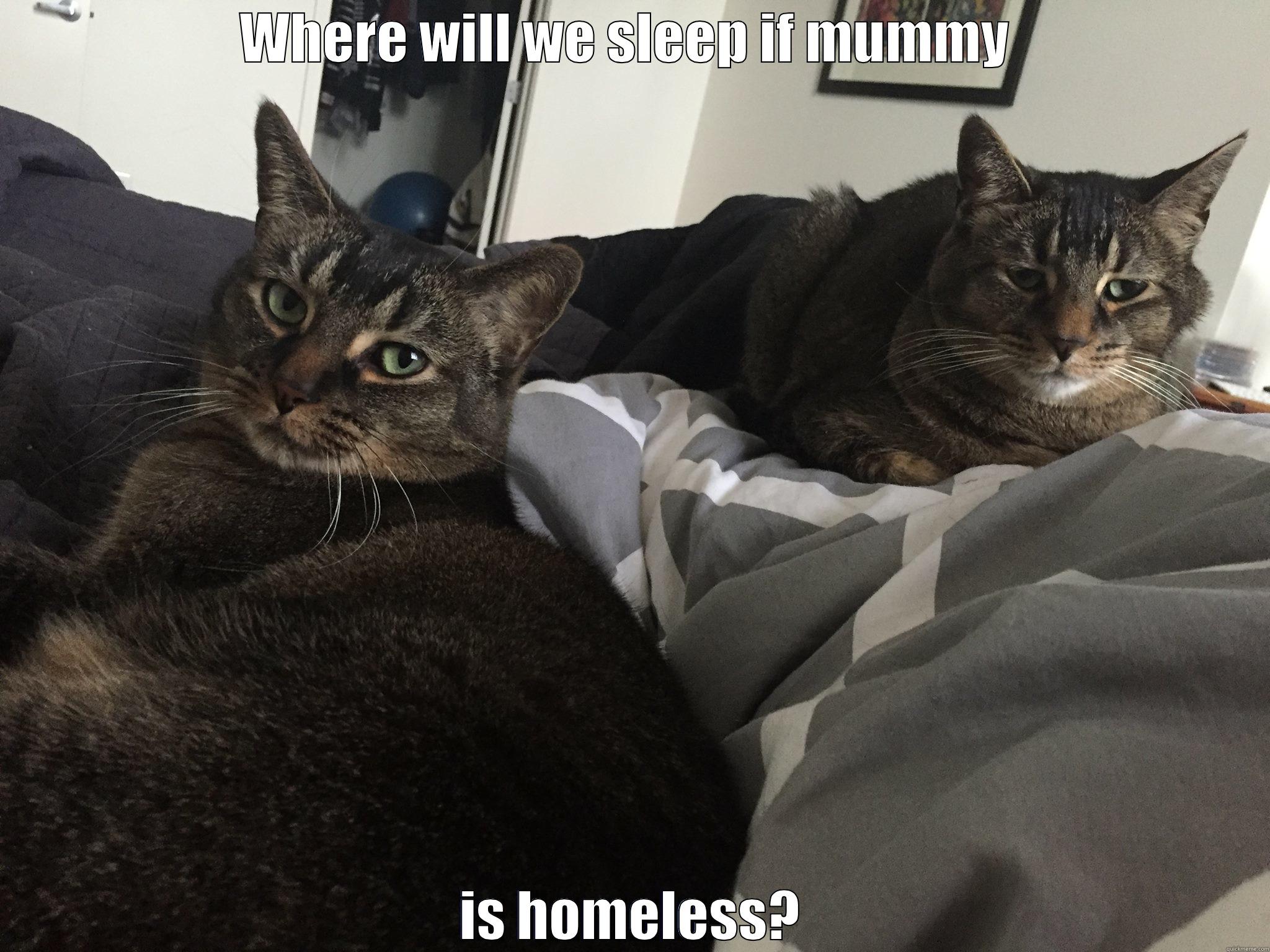 WHERE WILL WE SLEEP IF MUMMY  IS HOMELESS? Misc