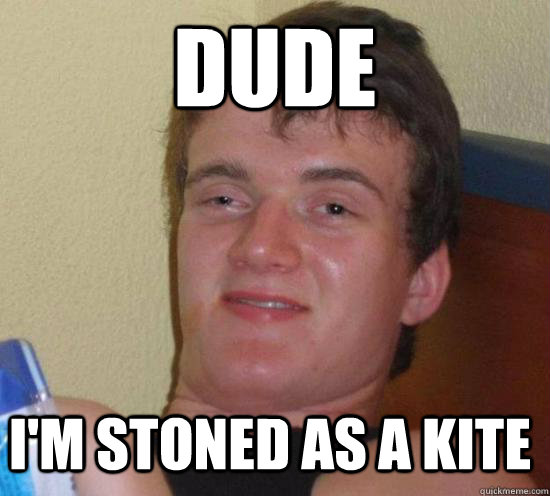 dude i'm stoned as a kite  10 Guy